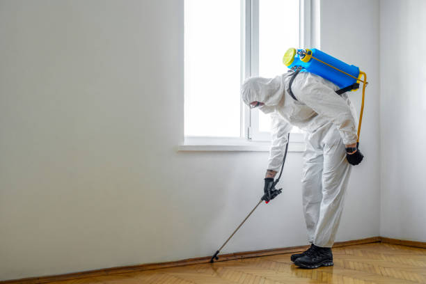 Best Residential Pest Control  in Wolf Lake, MI