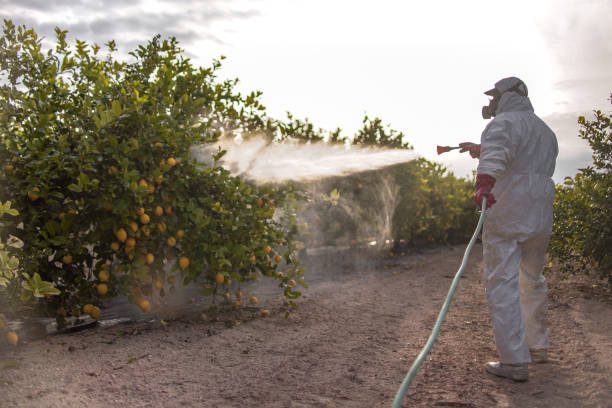 Best Exterminator Services  in Wolf Lake, MI