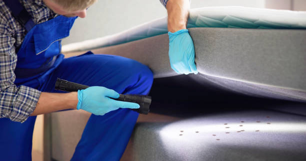 Wasp Removal Services in Wolf Lake, MI