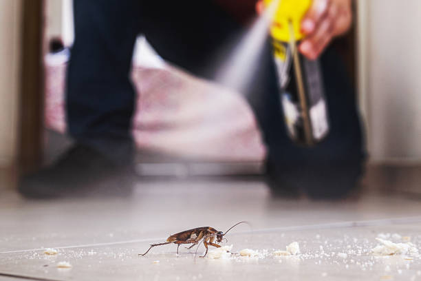 Best Pest Removal Services  in Wolf Lake, MI