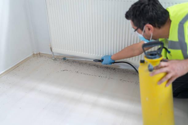 Best Ant Control Services  in Wolf Lake, MI