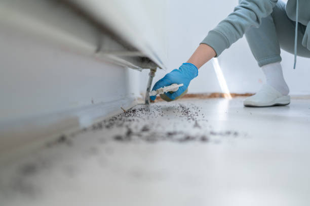 Best Affordable Pest Control Services  in Wolf Lake, MI
